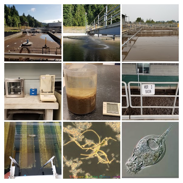 Wastewater Process Control Optimization & Troubleshooting