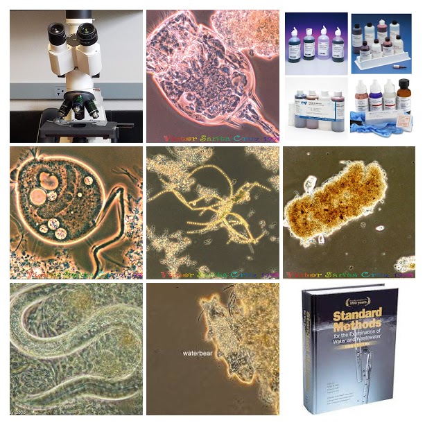 Professional Training Association - Microscopic Examination of Wastewater Training